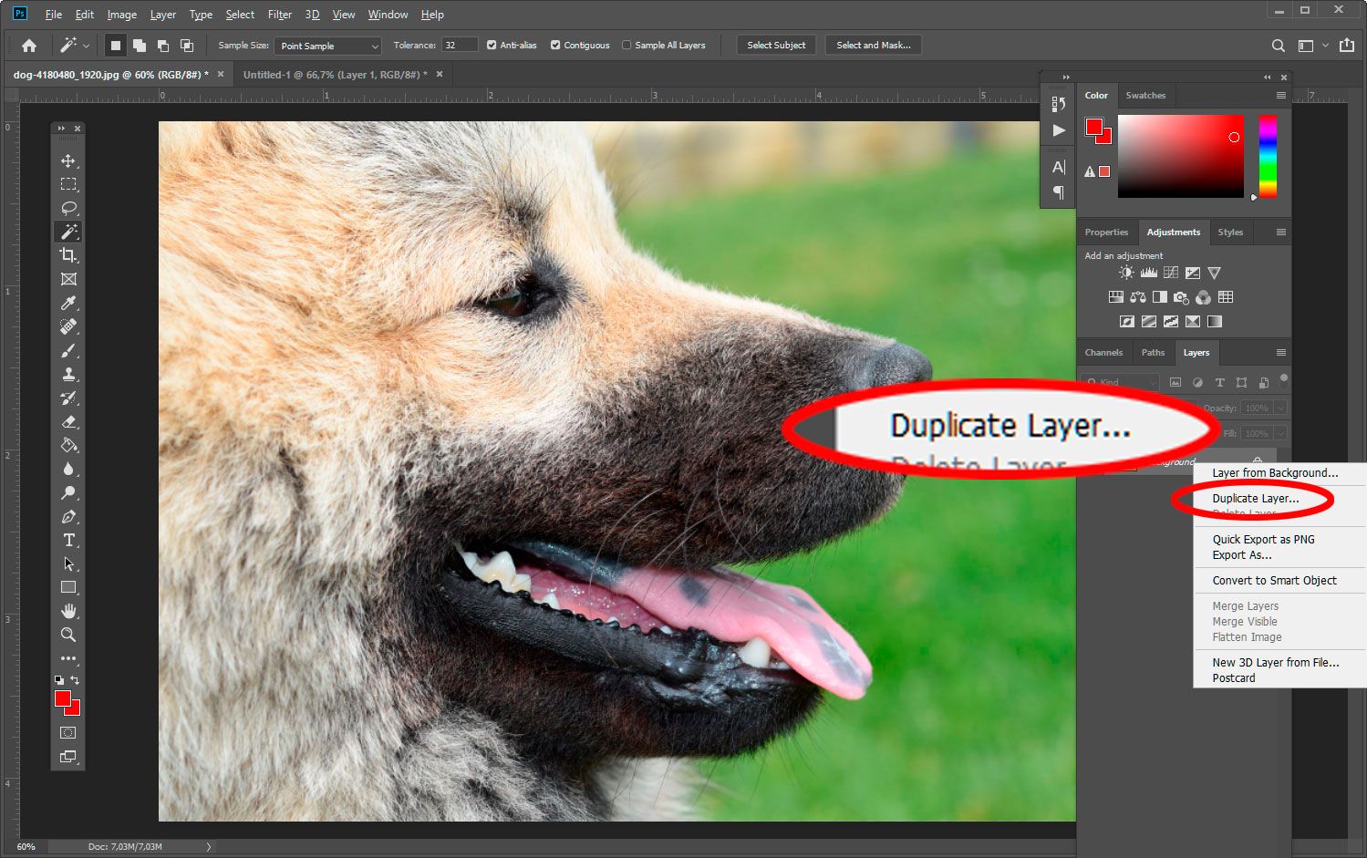 Duplicar capa en Photoshop..