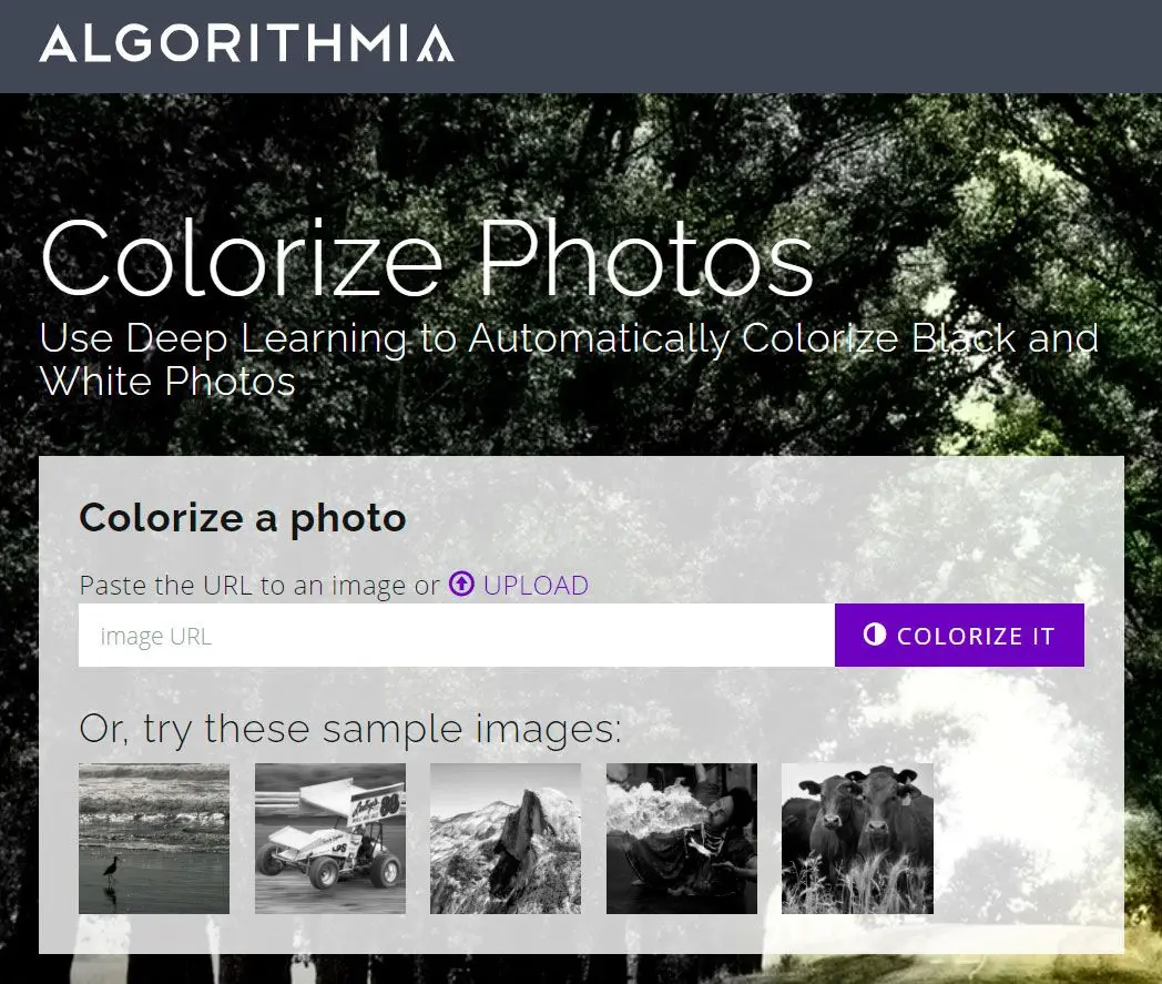 Colorear fotos antiguas en línea con algoritmos..