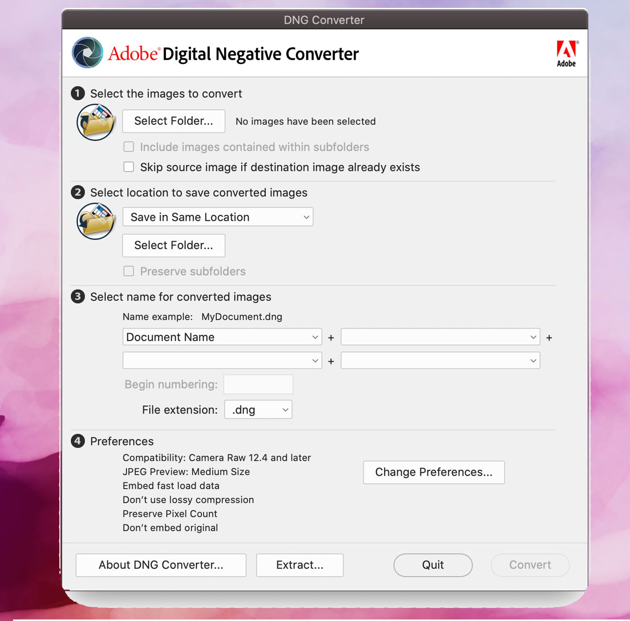 Captura de pantalla de Adobe DNG Converter, Convertir imágenes DNG a JPEG..