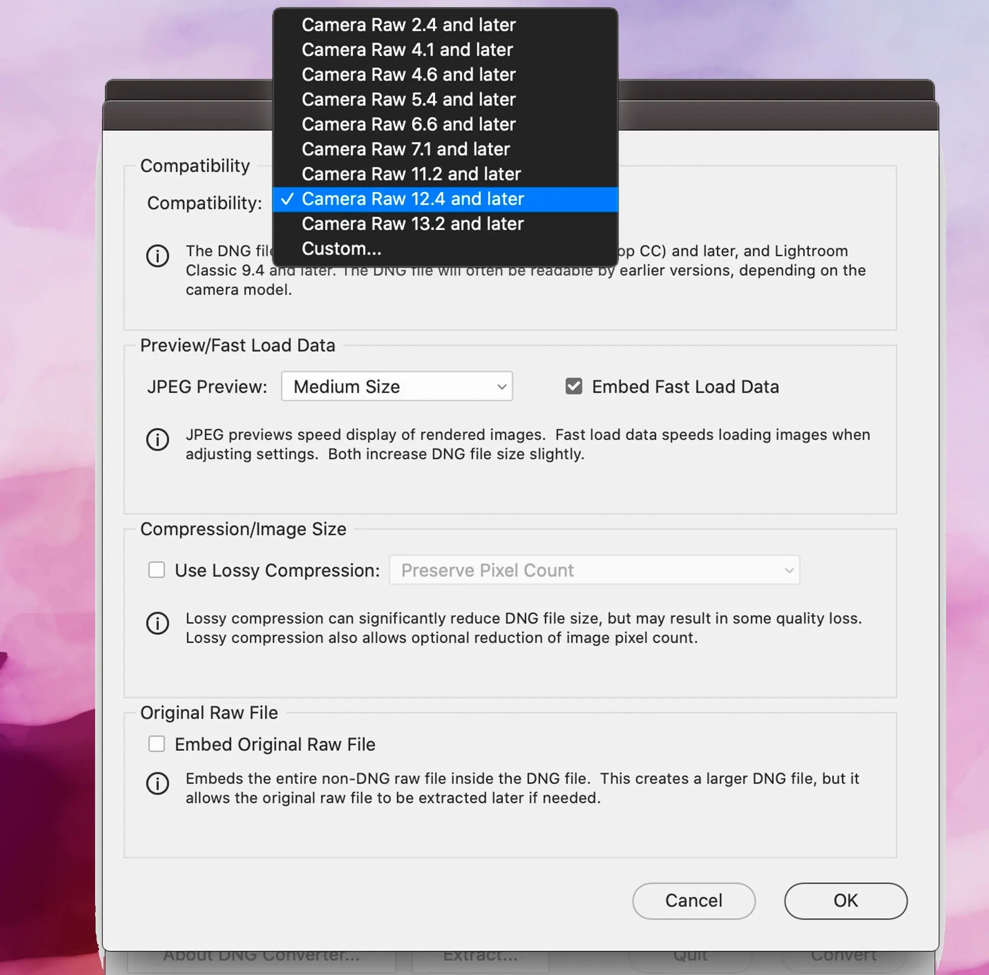 Captura de pantalla de Adobe DNG Converter, Preferencias de compatibilidad..