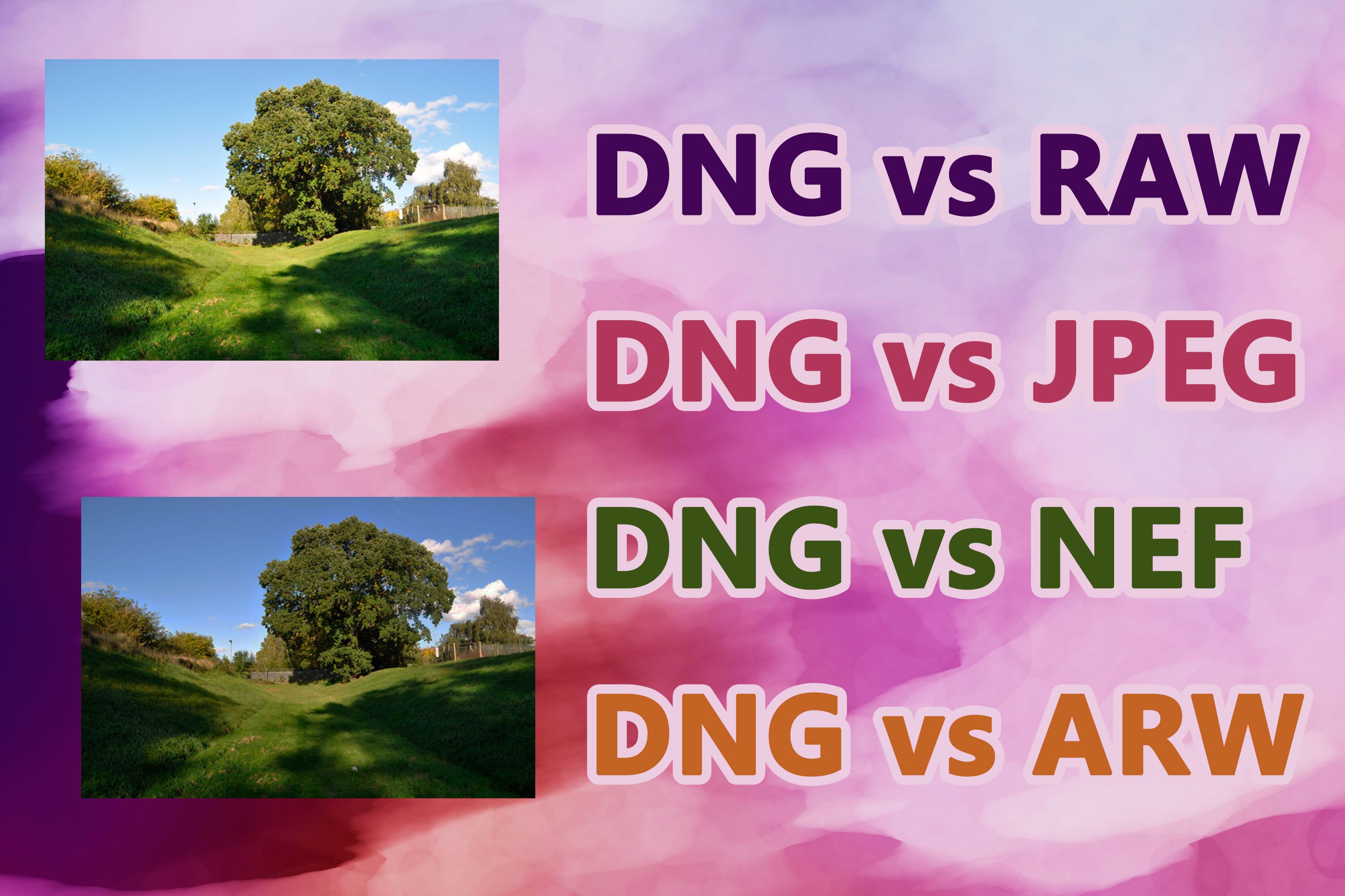DNG vs formatos RAW..