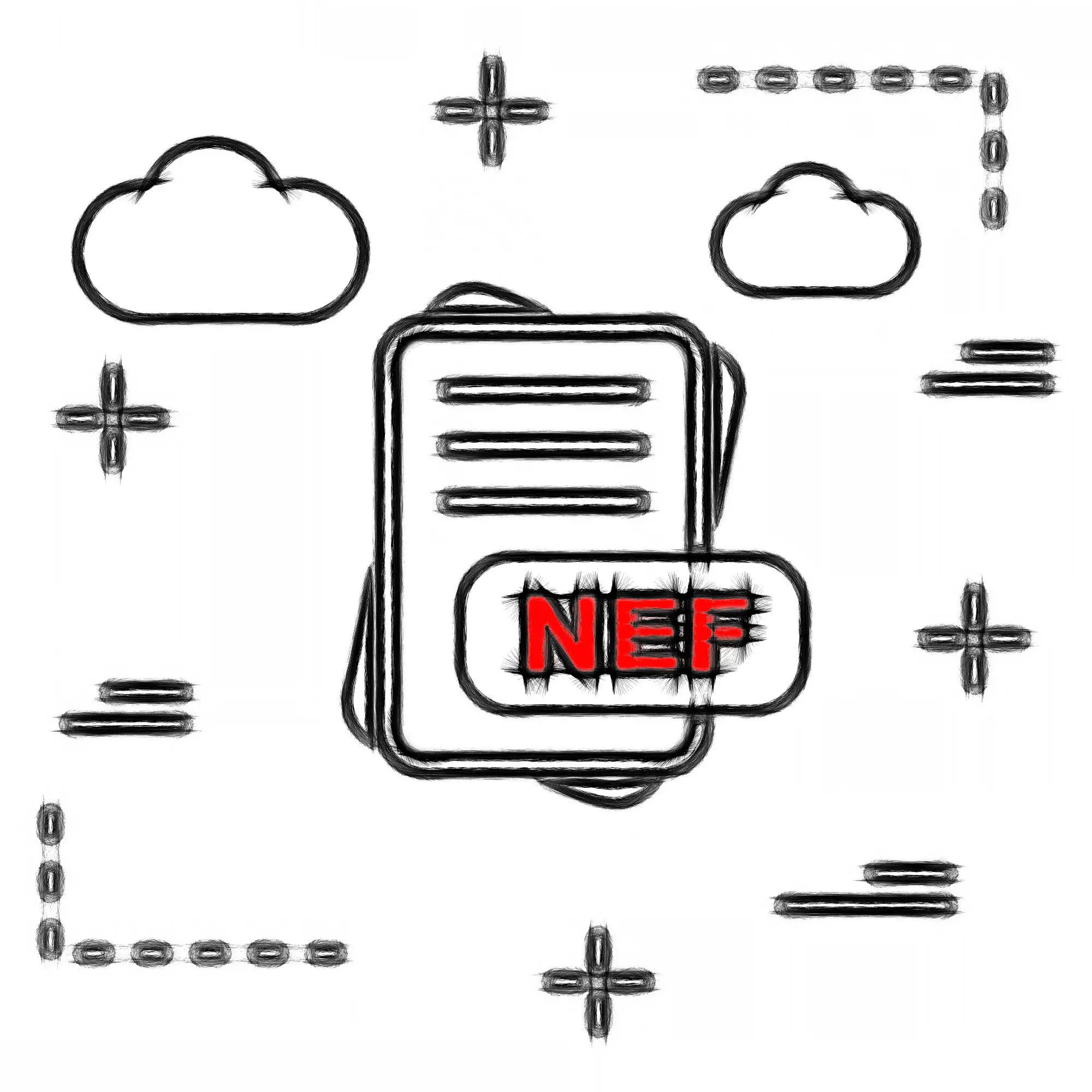 Formato de archivo NEF..
