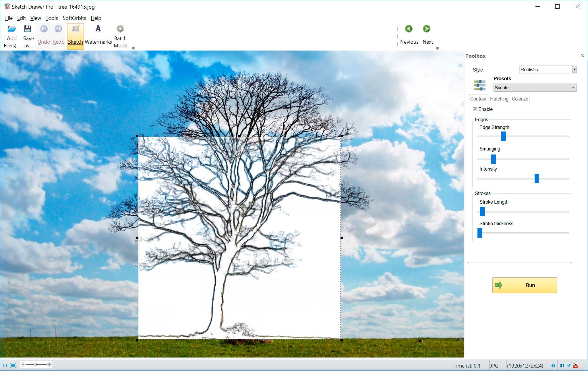 Foto de árbol convertida en dibujo a línea..