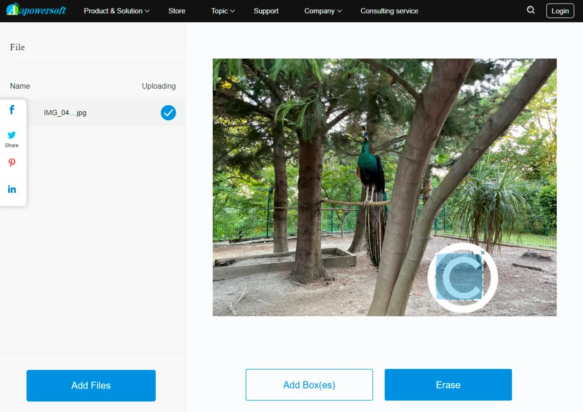 Eliminar Copyright de Foto Online..