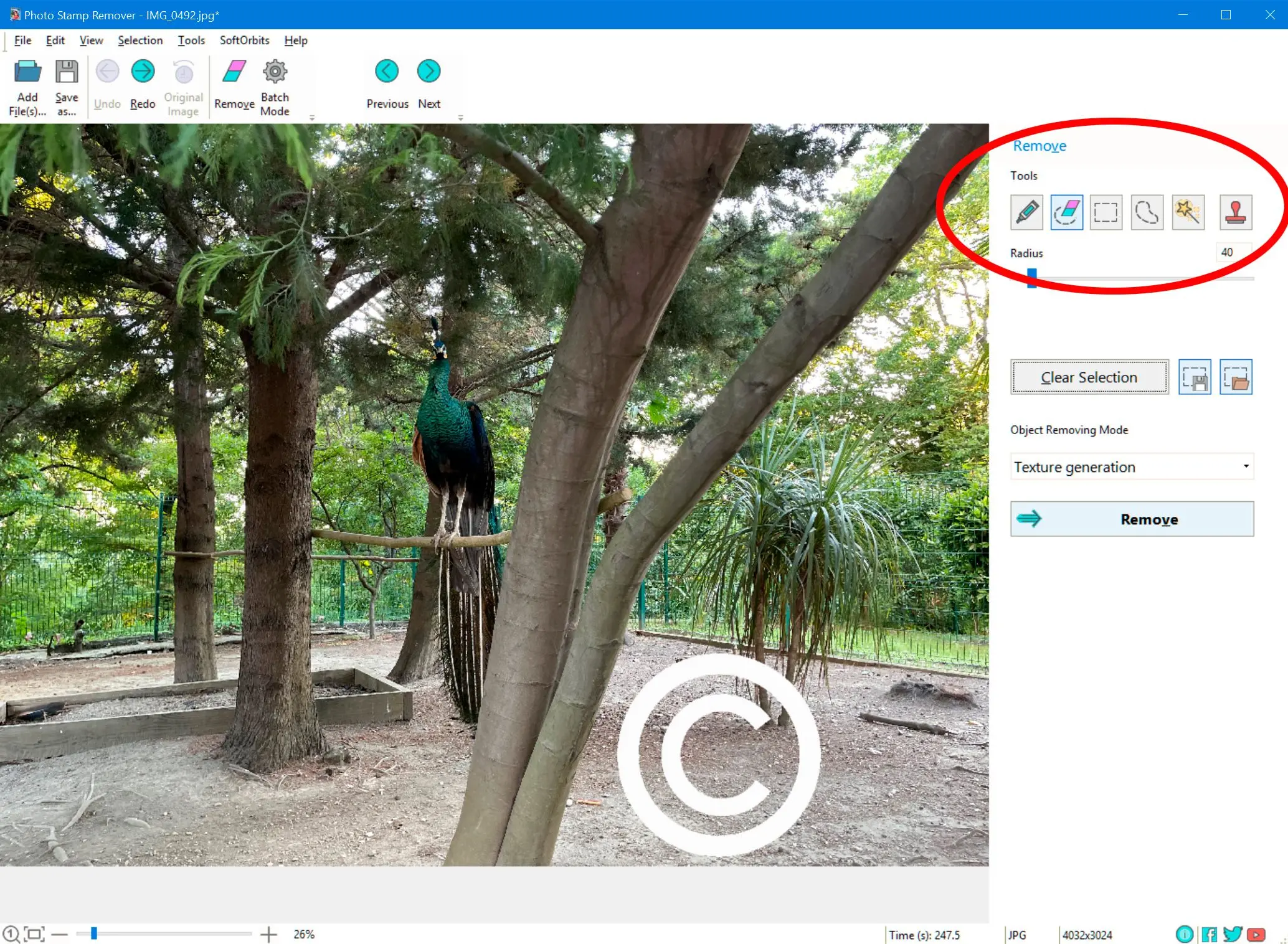 Eliminar los derechos de autor de la imagen..