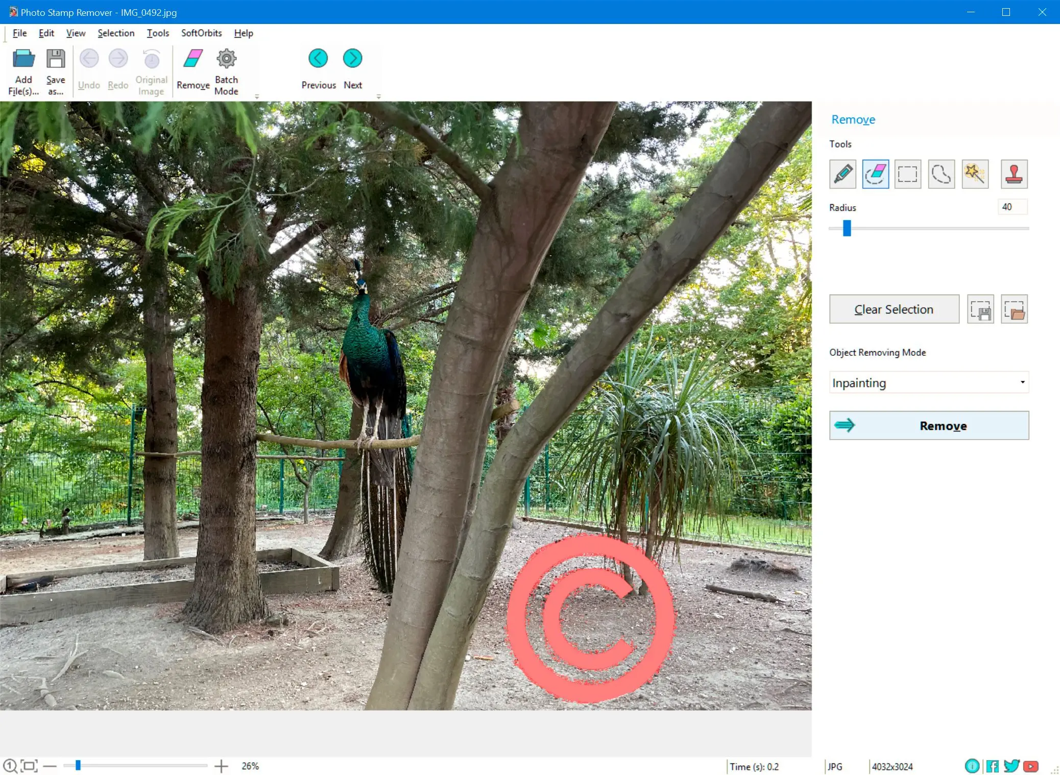 Eliminar marca de agua de copyright de foto..