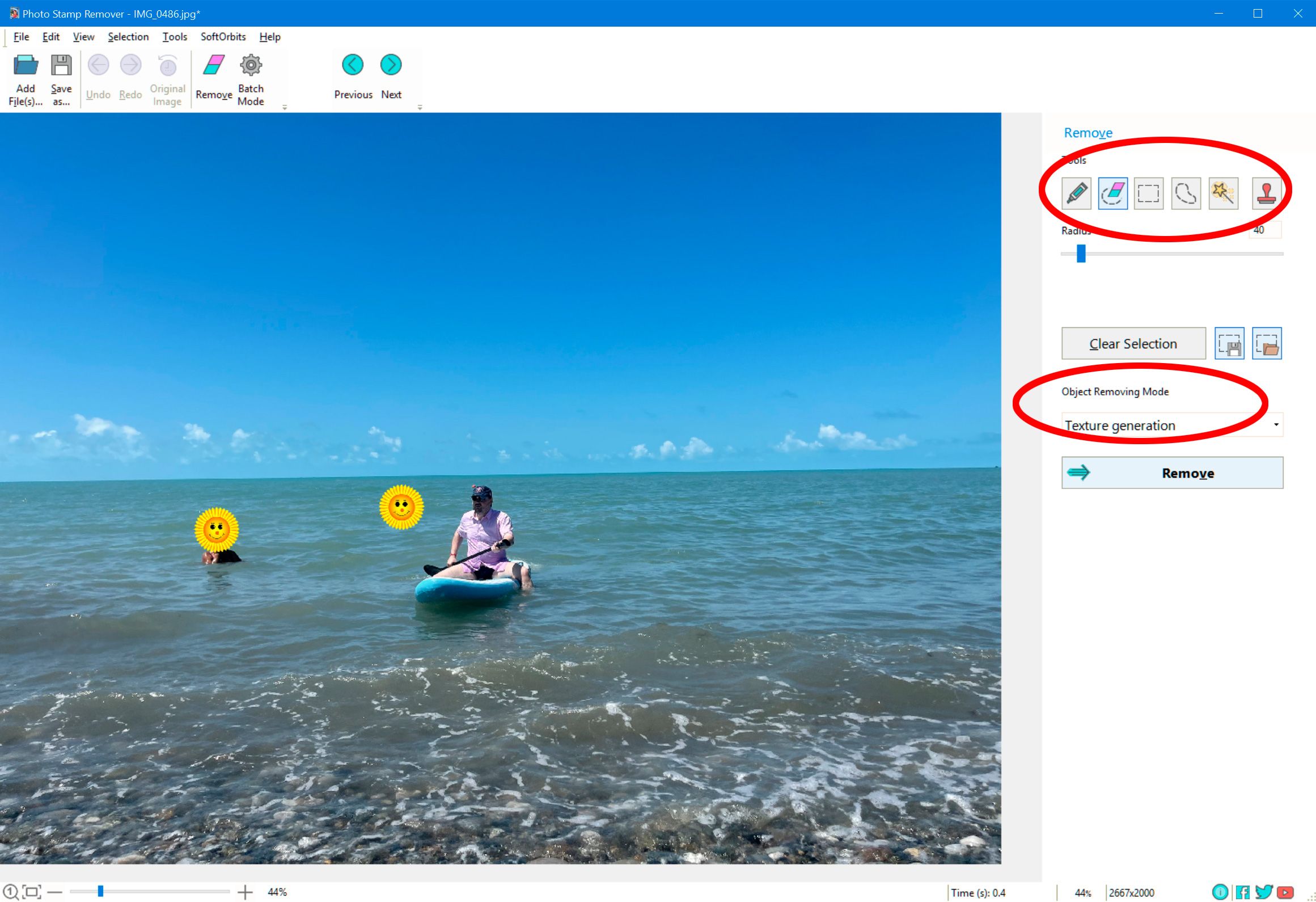 Eliminador de emojis de la foto..