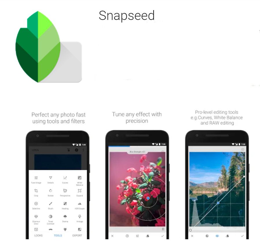 Aplicación Snapseed..
