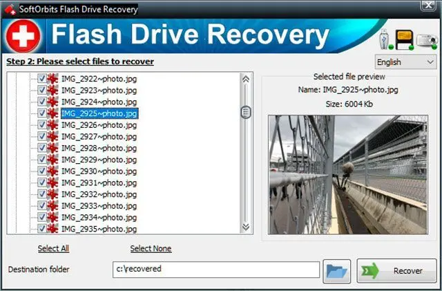Previsualizar archivos recuperados..