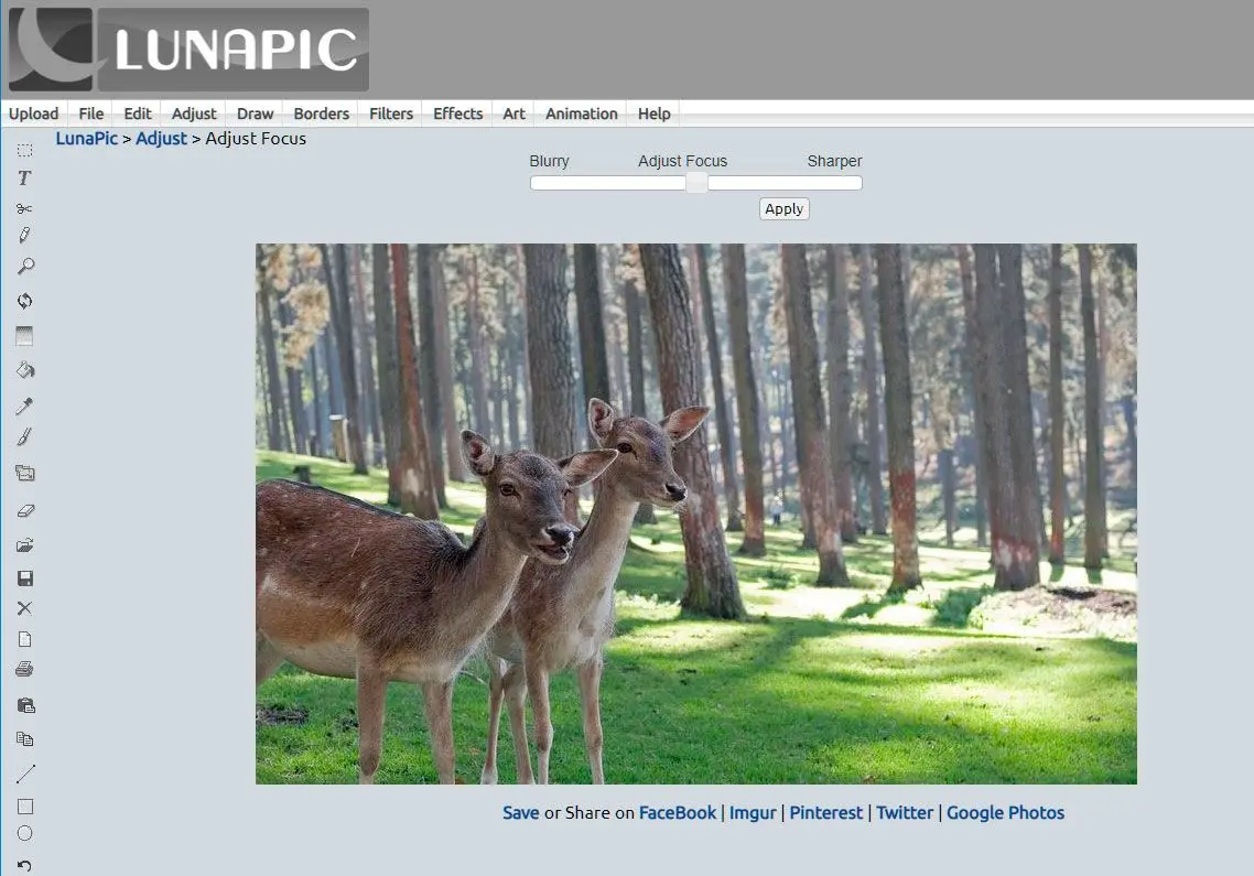 Abrir sitio web..