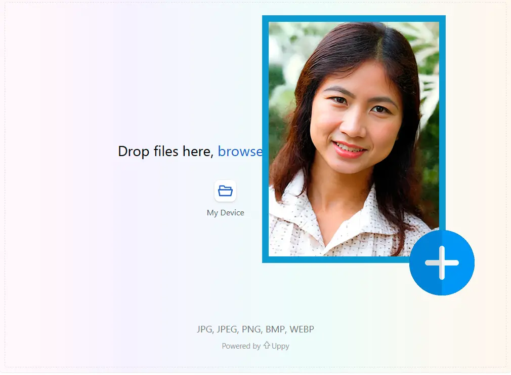 (Opcional) Ingrese un Prompt Personalizado.
