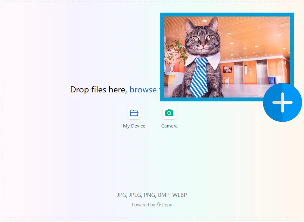 Cargue el Primer Fotograma.