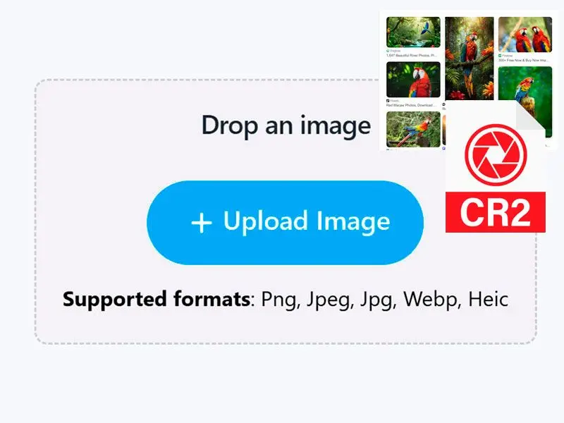 Añada Sus Archivos CR2.
