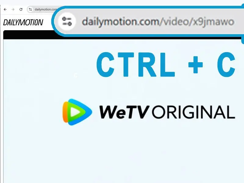 Copiar y pegar la URL del video de Dailymotion.