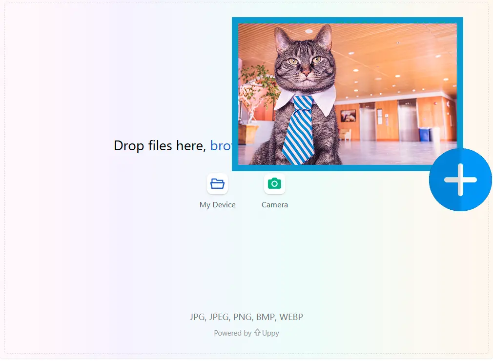 Cargue una imagen inicial.