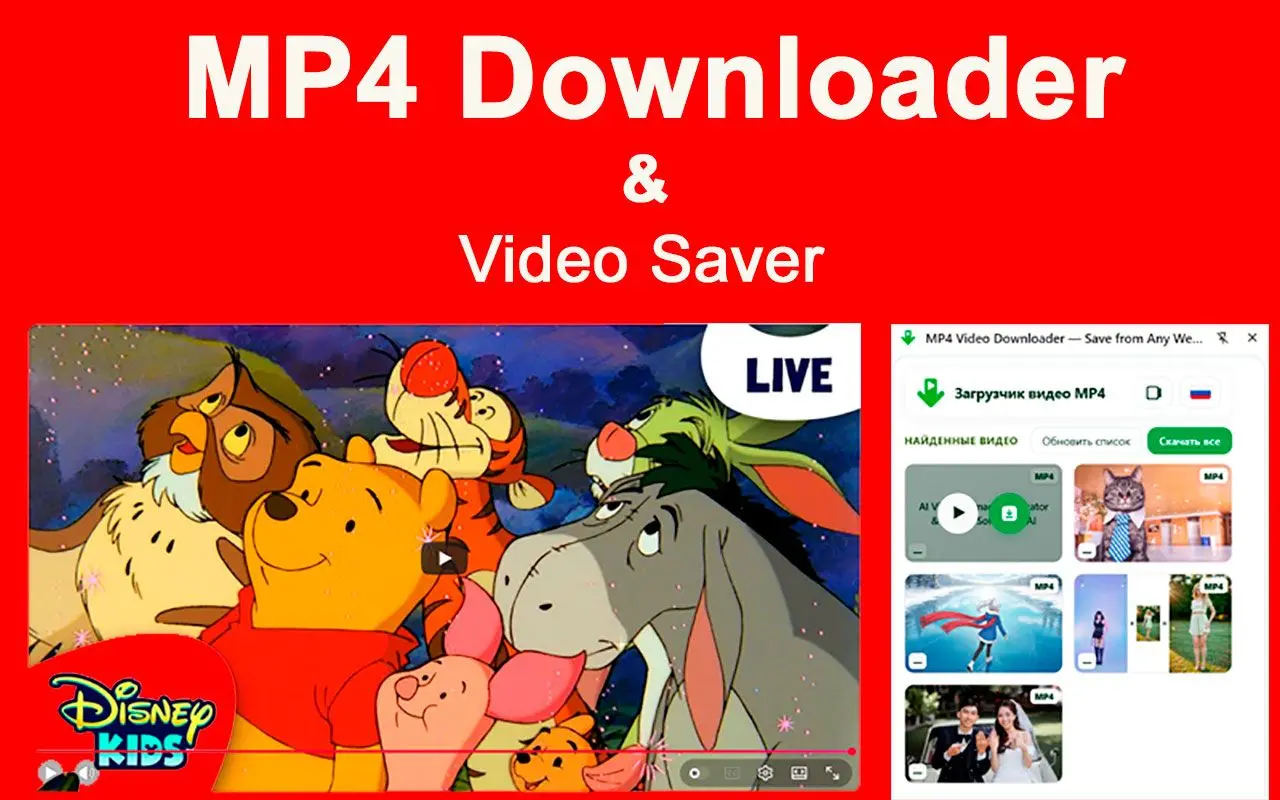 Limitaciones de MP4 Downloader y la extensión de Chrome.