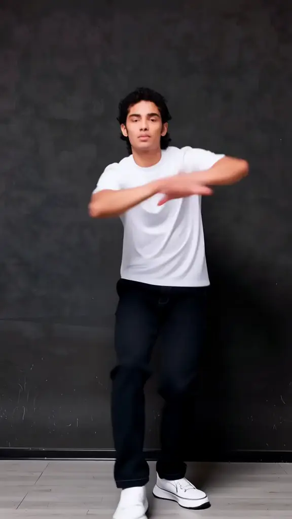 Efectos de Video Predefinidos.