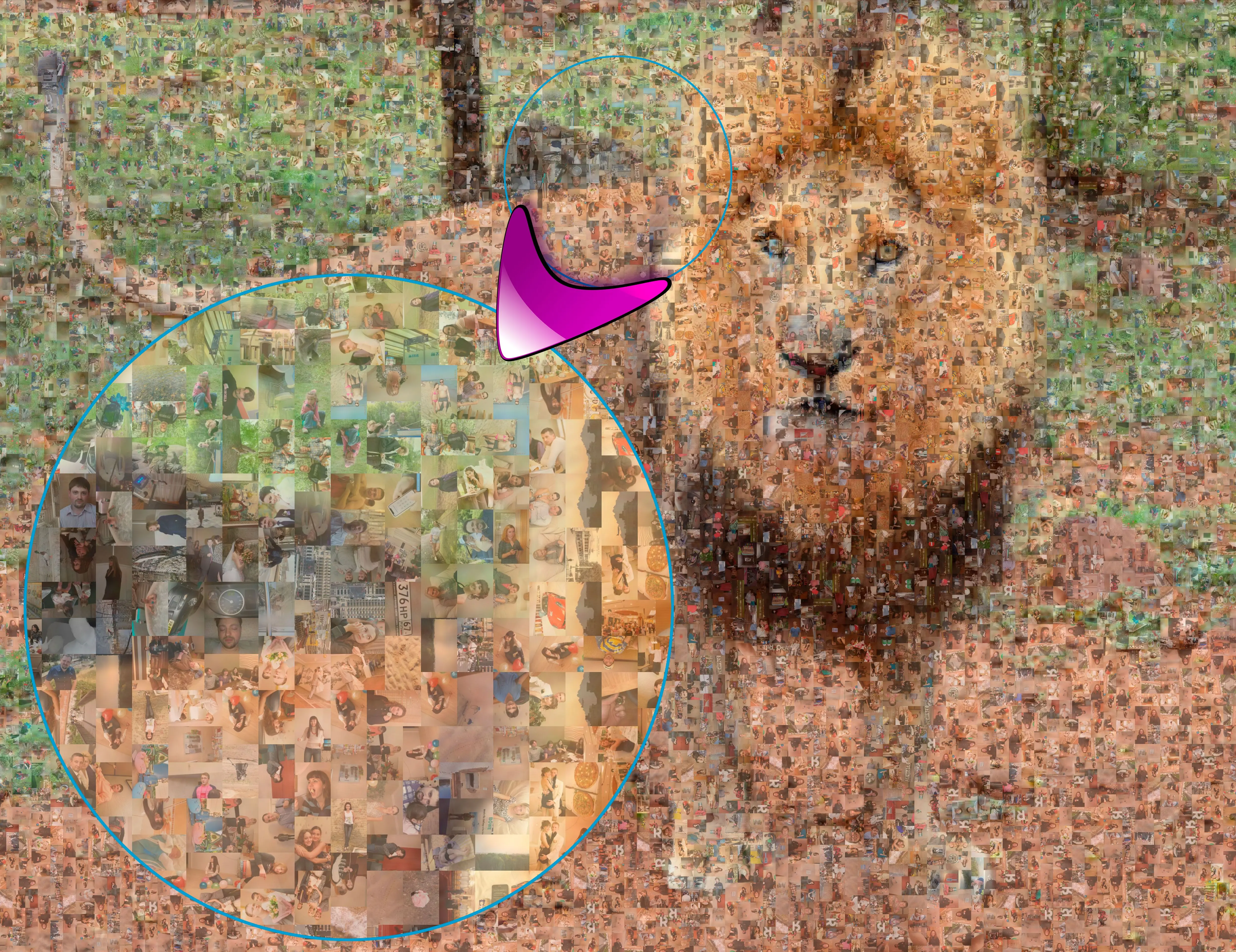 Photo mosaic of the lion.