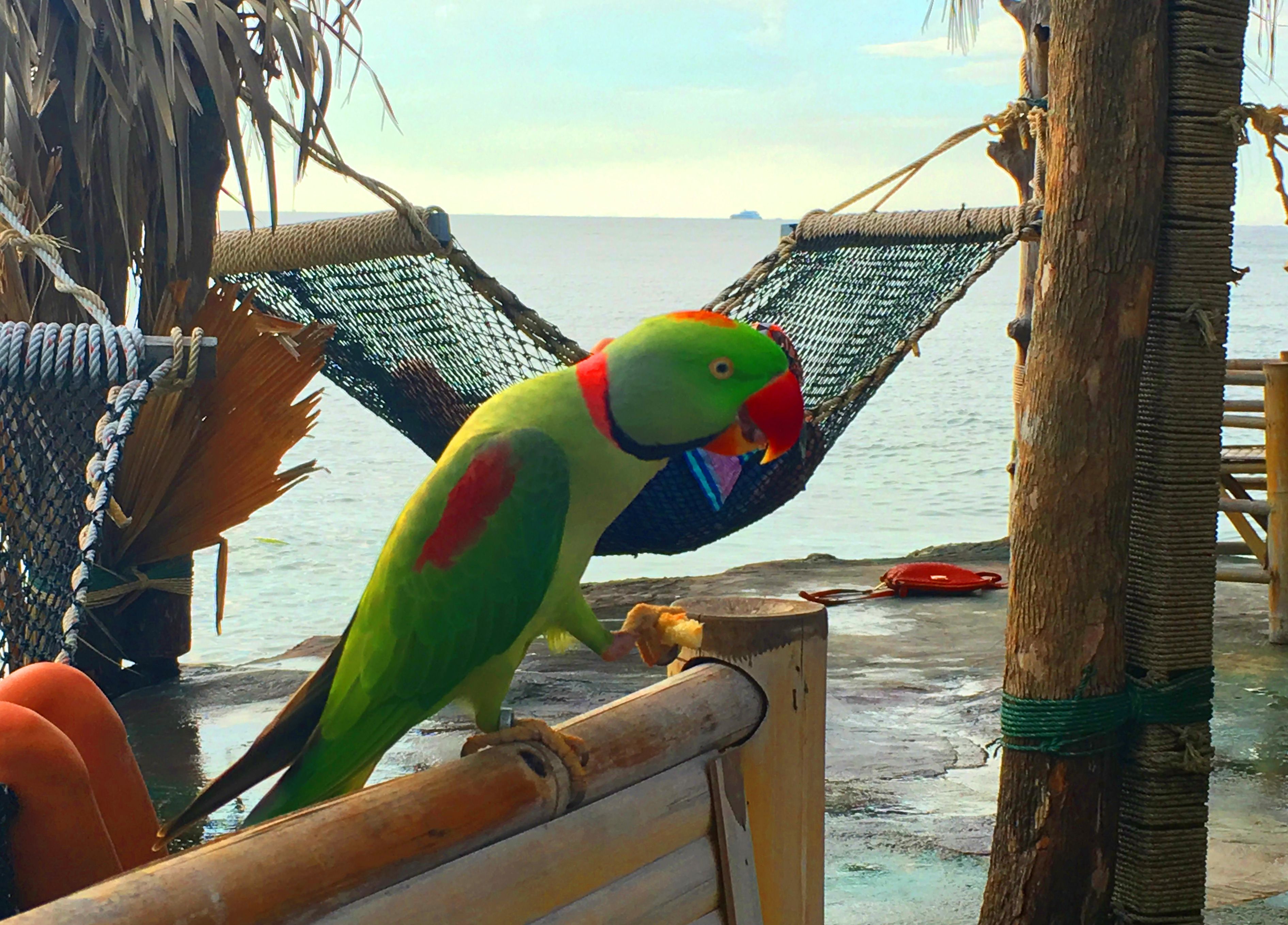 Eliminar texto de la imagen - después.