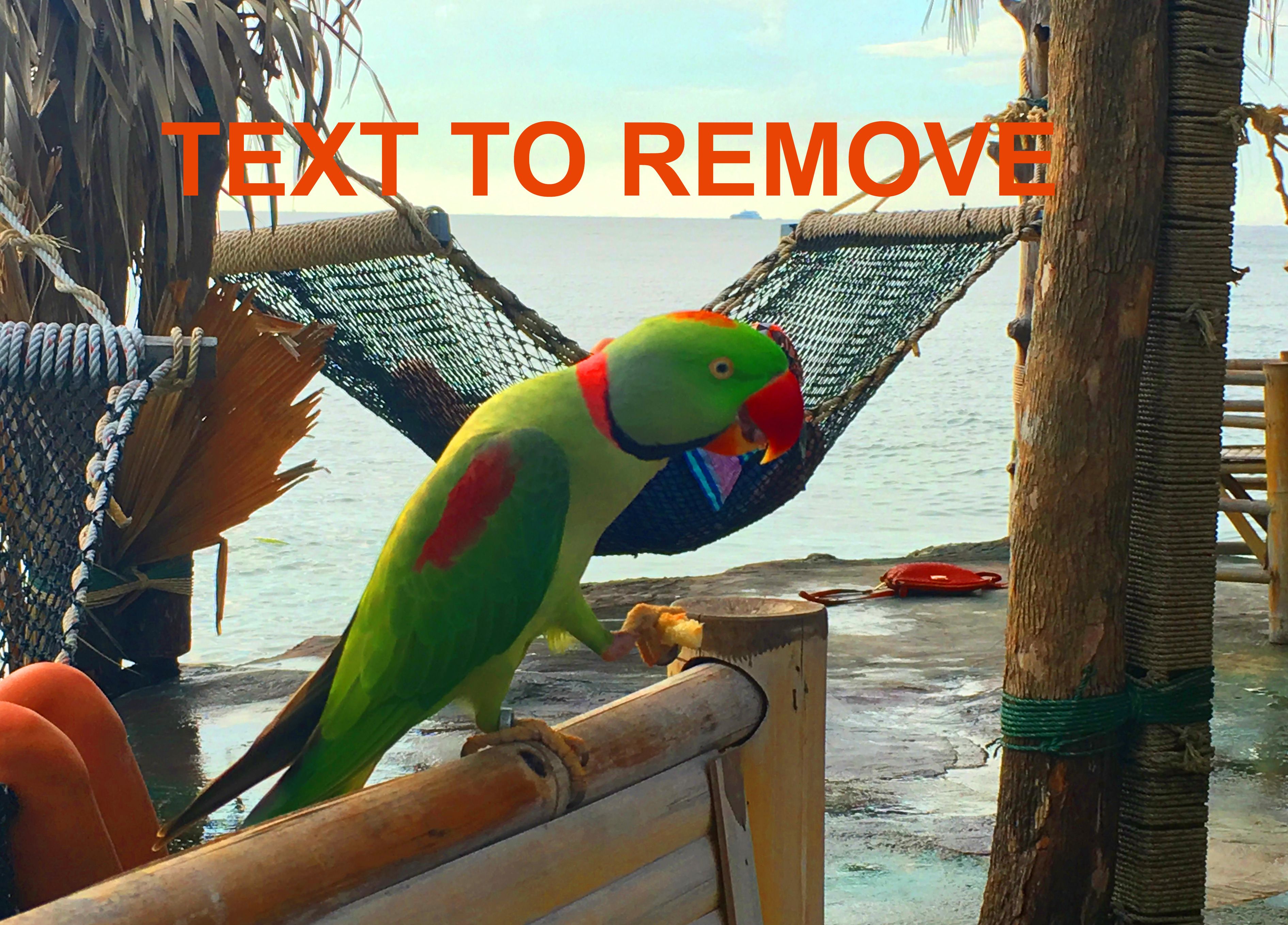 Eliminar texto de la imagen - antes.