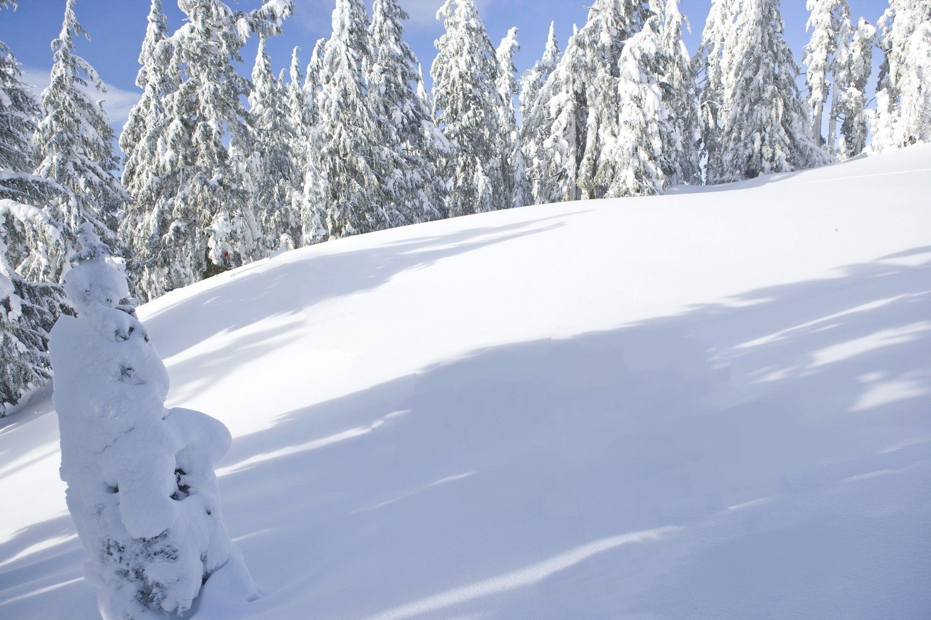 Eliminar las marcas de agua Después.