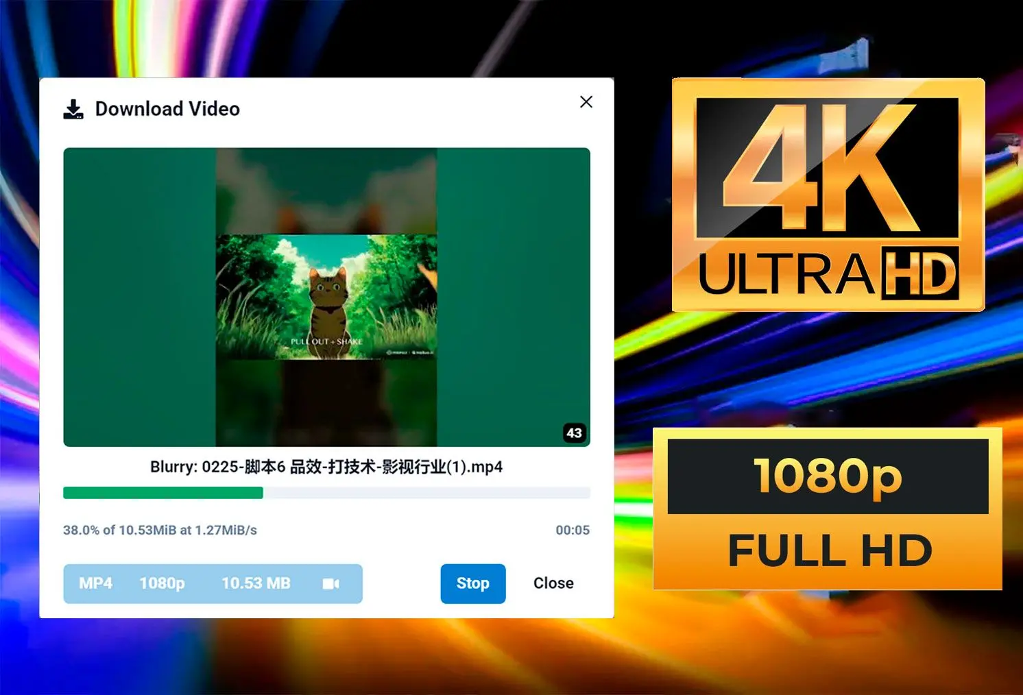 Calidad HD y 4K.