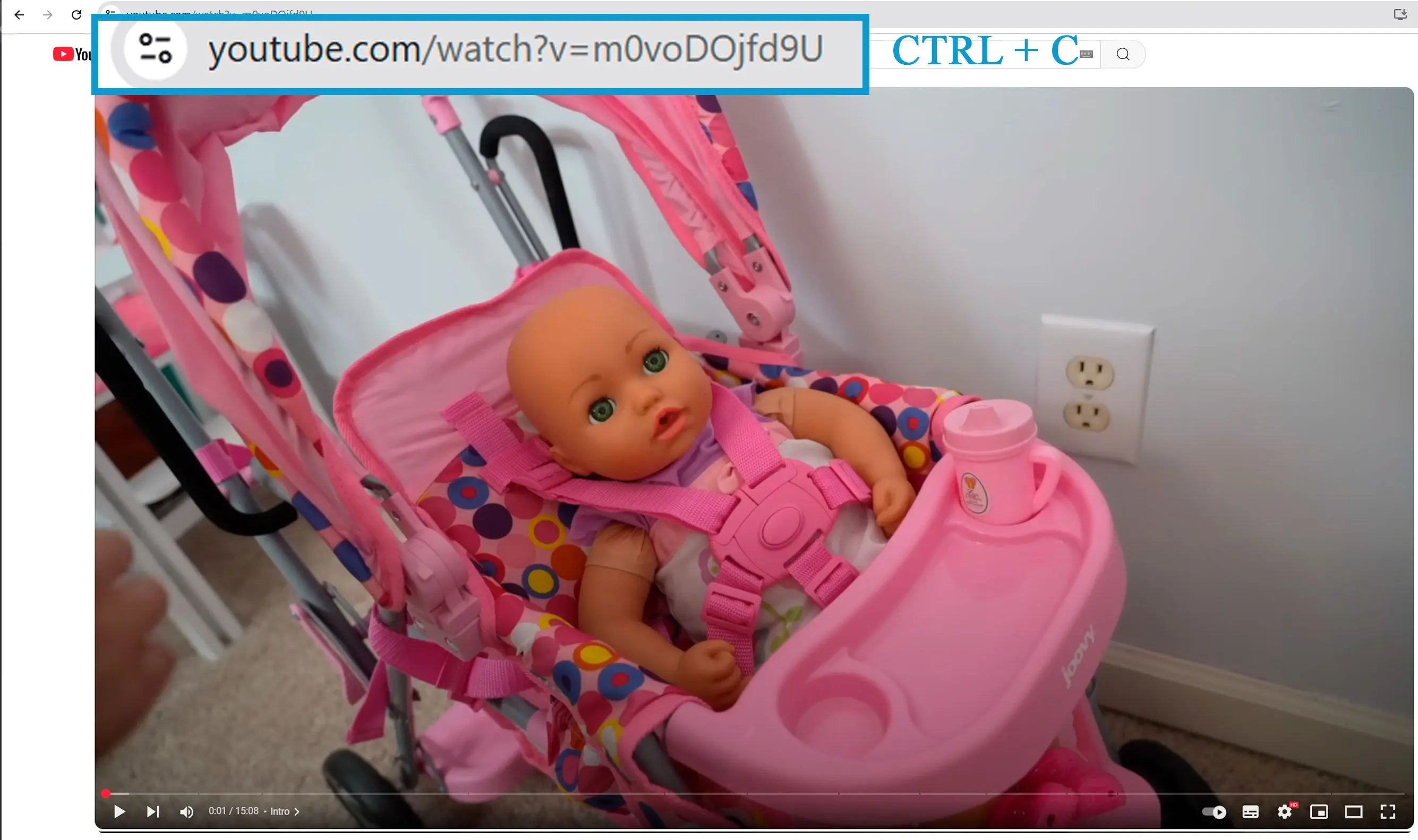Copie la URL de su Video de YouTube.