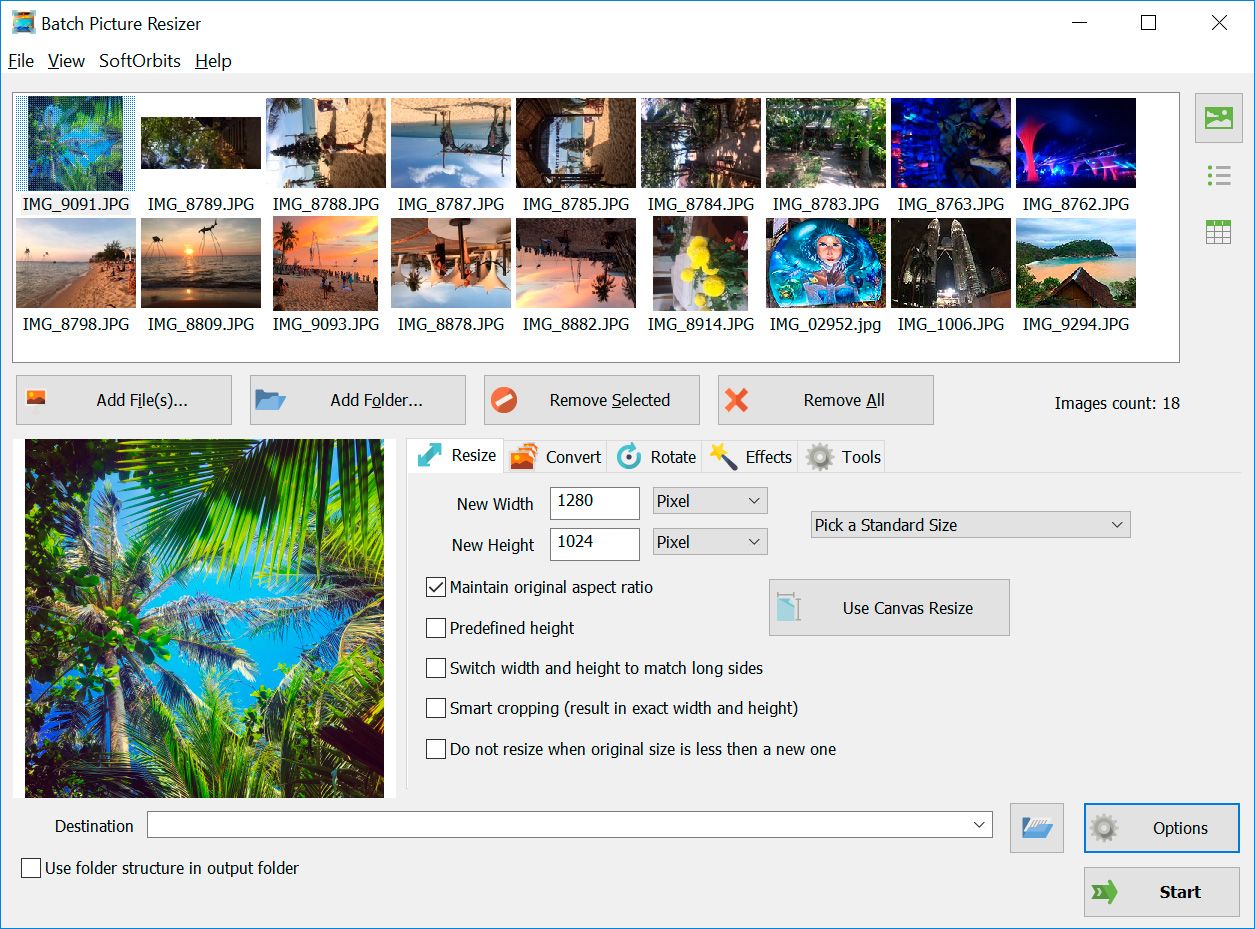 Software Convertidor de RAW a JPG por Lotes para Windows 11, 10 PC | Descarga Gratuita.